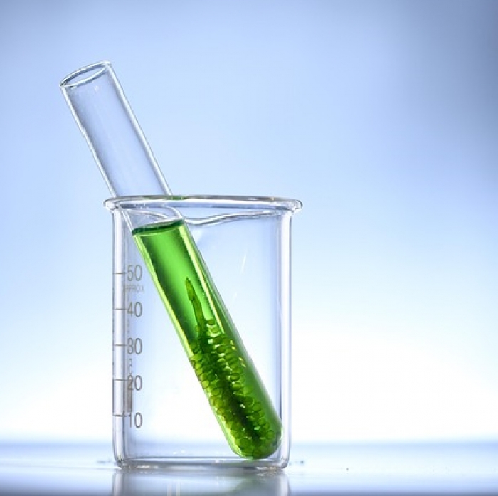Aberta a Manifesta&ccedil;&atilde;o de Interesse para o futuro IPCEI Biotecnologia
