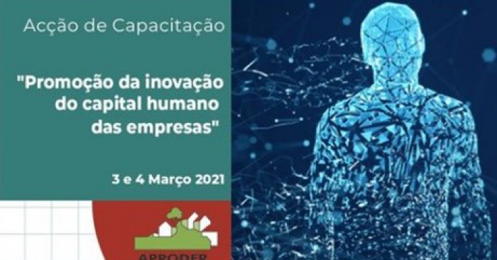 AÇÃO DE CAPACITAÇÃO – “PROMOÇÃO DA INOVAÇÃO DO CAPITAL HUMANO DAS EMPRESAS” - 03 E 04 DE MARÇO DE 2021