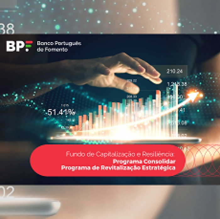 Novos programas de investimento FdCR | Candidaturas abertas