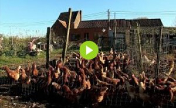 Aprovada reforma da Política Agrícola Comum