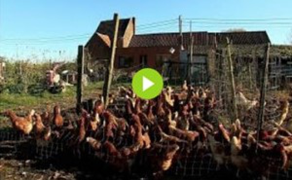 Aprovada reforma da Pol&iacute;tica Agr&iacute;cola Comum