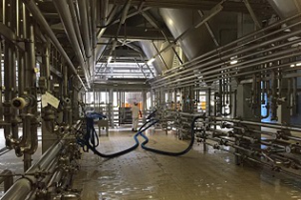 Font Salem vai duplicar produção da fábrica de Santarém