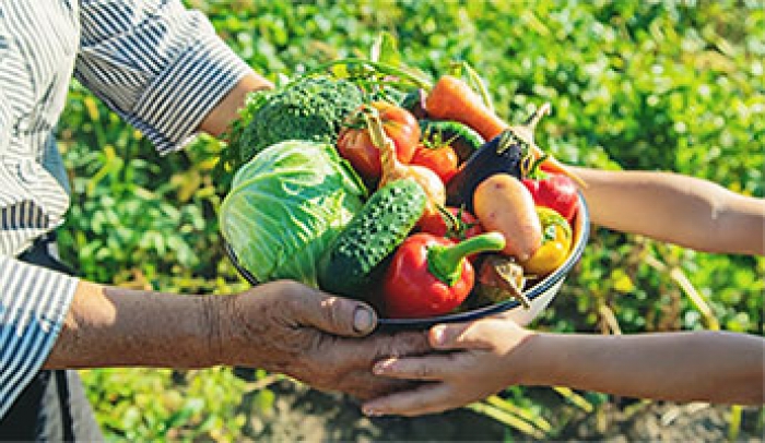 Agricultura aprova Avisos de concurso de 300 milhões de euros