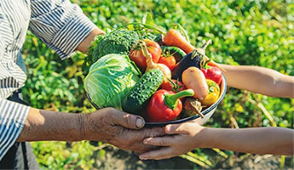 Agricultura aprova Avisos de concurso de 300 milh&otilde;es de euros