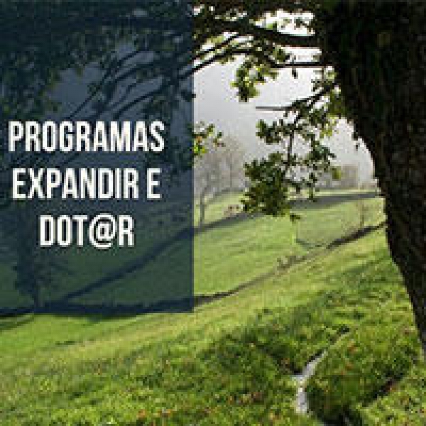 Aprovados novos Programas EXPANDIR e DOT@R