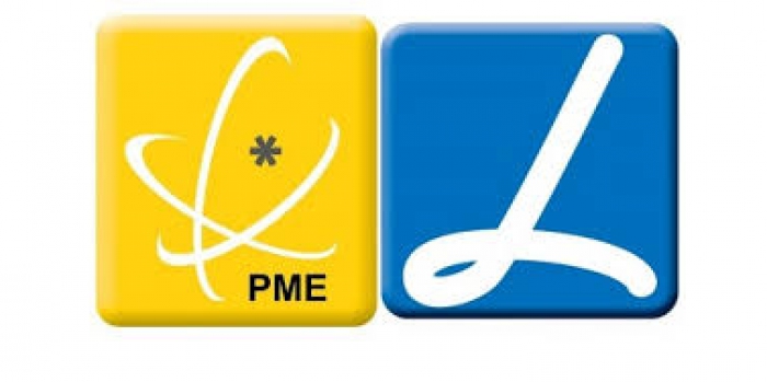 Empresas Estatuto PME L&iacute;der