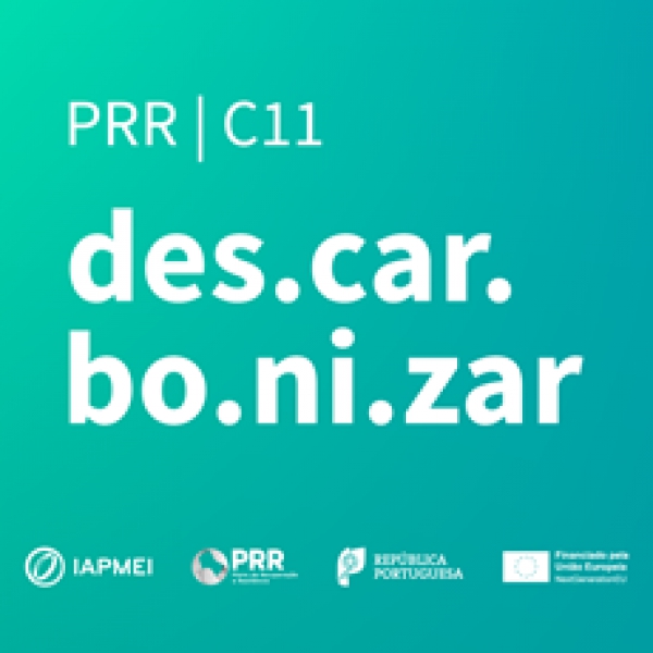 Descarbonização da Indústria | Candidaturas até 29 de julho