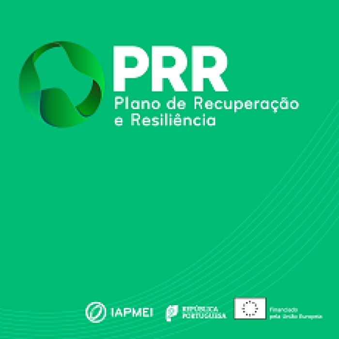 Agendas Mobilizadoras para a Inovação Empresarial | ENESII - Elegibilidade de despesas de I&amp;D