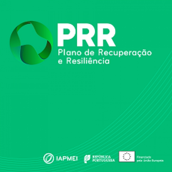 Agendas Mobilizadoras para a Inova&ccedil;&atilde;o Empresarial | ENESII - Elegibilidade de despesas de I&amp;D