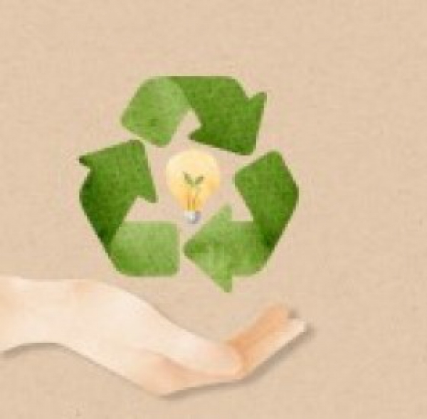 Consulta P&uacute;blica