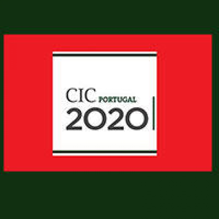 Regulamenta&ccedil;&atilde;o do mecanismo de convers&atilde;o das Linhas de Apoio &agrave; Economia