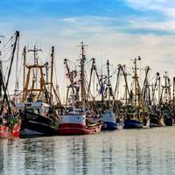 Medidas excecionais de apoio ao setor da Pesca