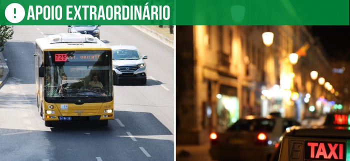 Apoio no Setor dos Transportes P&uacute;blicos de Passageiros - 2&ordf; Fase