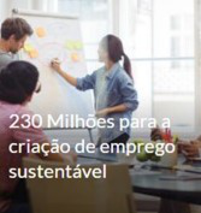 CRIA&Ccedil;&Atilde;O DE EMPREGO SUSTENT&Aacute;VEL