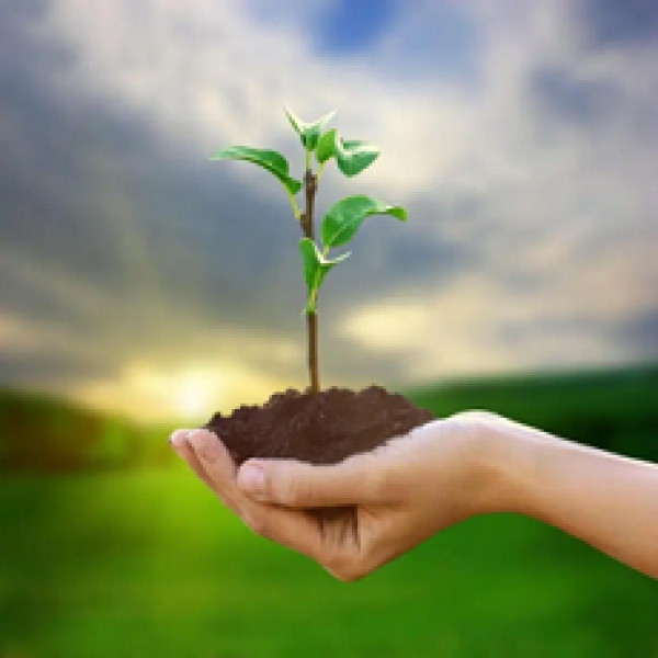 Apoios &agrave;s empresas afetadas pelos inc&ecirc;ndios e pelas cheias