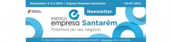 Newsletter #11/2021