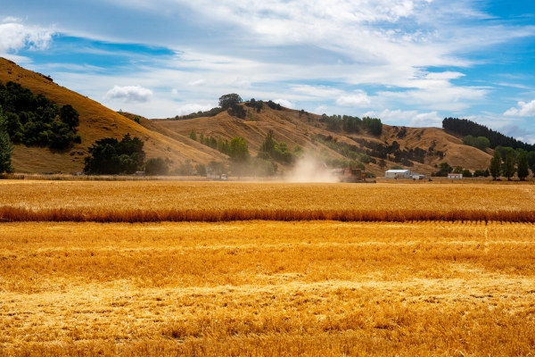 Apoio ao Emparcelamento Rural Simples