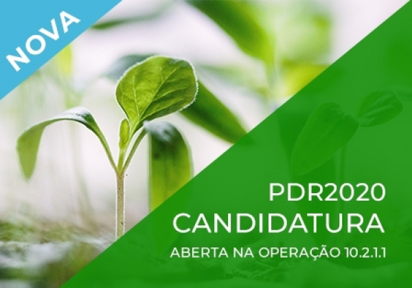 ABERTAS CANDIDATURAS PARA A OPERAÇÃO 10.2.1.1