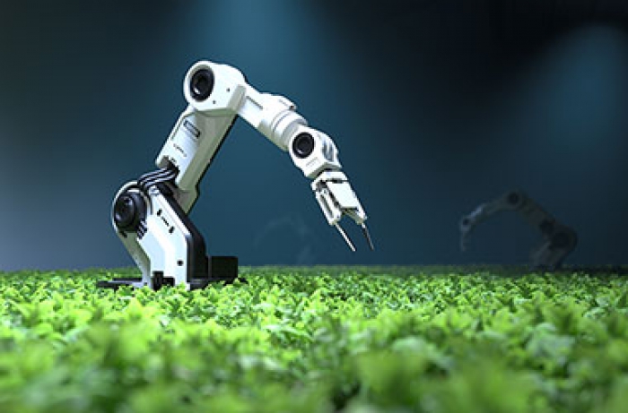 Projeto ‘Smart Farm 4.0’ com soluções inteligentes para uma agricultura sustentável e autónoma