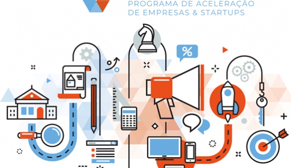 Programa de Aceleração para empresas com menos de 3 anos - VITAMINA