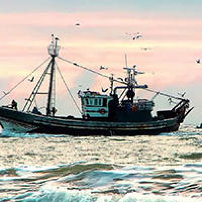 Publicado Regulamento que cria o Fundo Europeu Marítimo, das Pescas e da Aquicultura