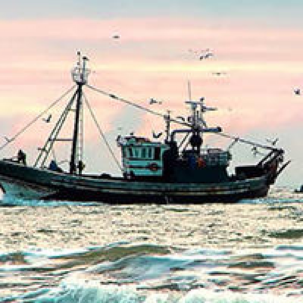 Publicado Regulamento que cria o Fundo Europeu Marítimo, das Pescas e da Aquicultura