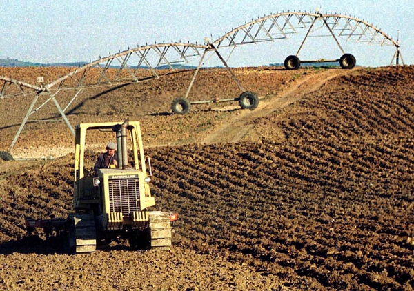 Estado disponibiliza 500 mil euros aos agricultores afetados pelos incêndios 1 / 1 Trabalhos agrícolas