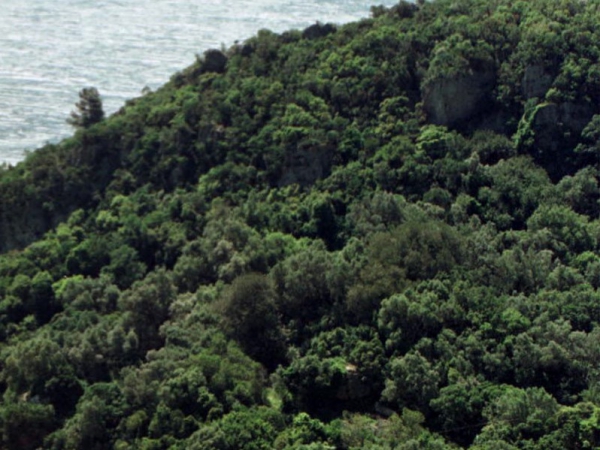 10 milh&otilde;es do Plano de Recupera&ccedil;&atilde;o e Resili&ecirc;ncia refor&ccedil;am Organiza&ccedil;&otilde;es de Produtores Florestais